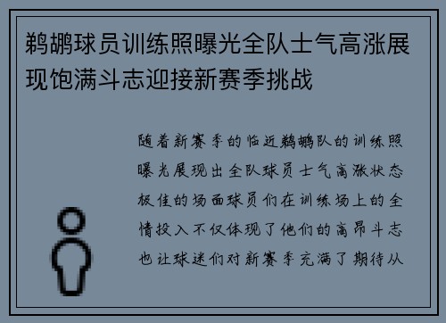 鹈鹕球员训练照曝光全队士气高涨展现饱满斗志迎接新赛季挑战