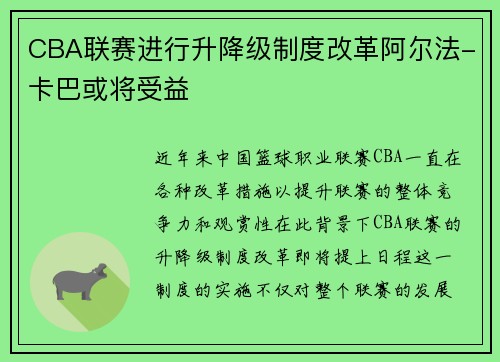 CBA联赛进行升降级制度改革阿尔法-卡巴或将受益