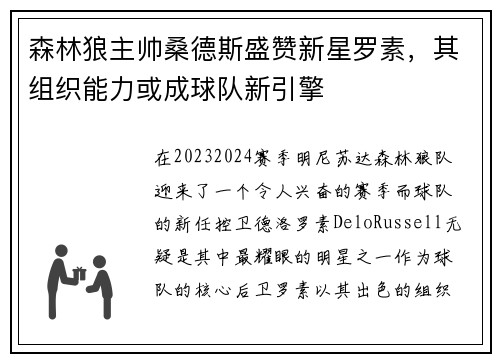 森林狼主帅桑德斯盛赞新星罗素，其组织能力或成球队新引擎
